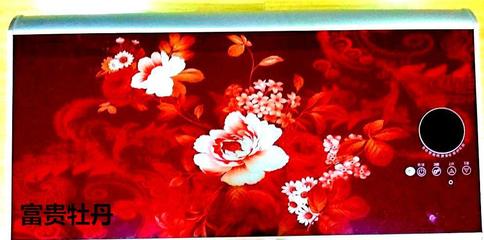 攜手順太樂(lè)，共贏綠色未來(lái) 誠(chéng)征節(jié)能健康環(huán)保電熱兩用熱水器代理經(jīng)銷(xiāo)商