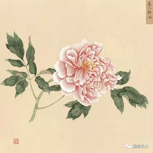 丹青妙手寫(xiě)天香 故宮館藏蔣廷錫《牡丹十六種圖冊(cè)》中的芍藥風(fēng)姿